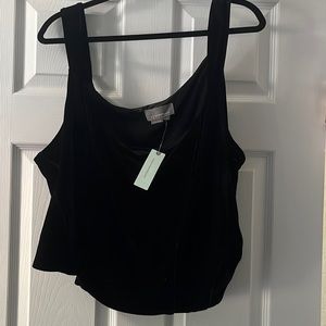 Plus size velvet corset tank top from Anthropogie